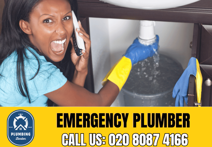 emergency plumber Islington