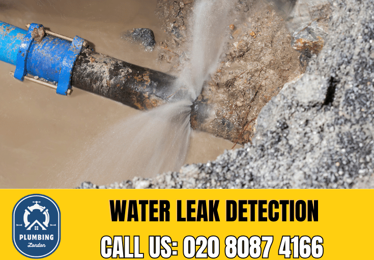 leak detection Islington